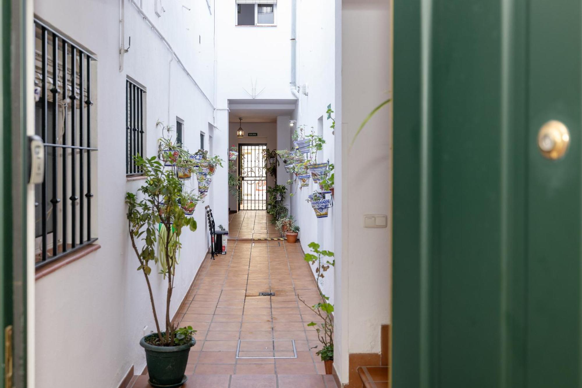 Apartamentos Trianasol Sevilla Eksteriør billede