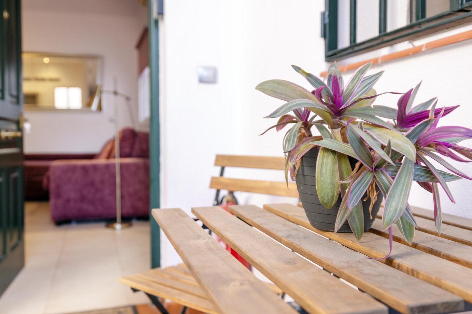 Apartamentos Trianasol Sevilla Eksteriør billede